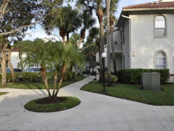 Palm Beach Home 986925