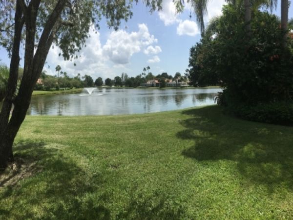 Palm Beach Home 986928