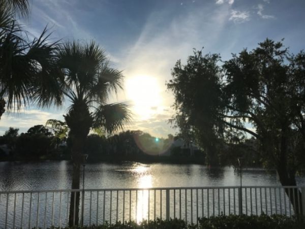 Palm Beach Home 986929