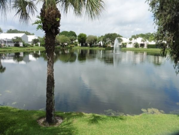 Palm Beach Home 986929