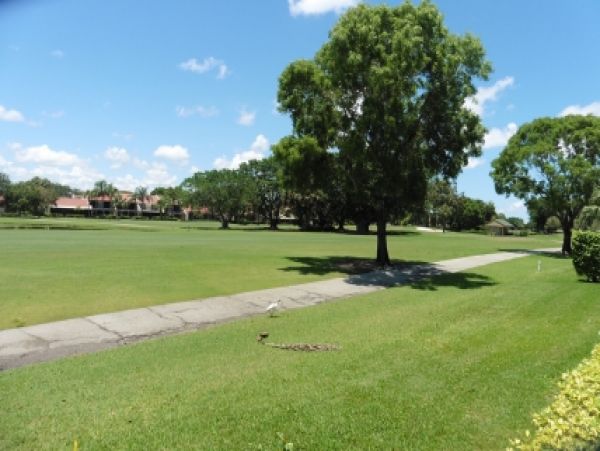 Palm Beach Home 986933