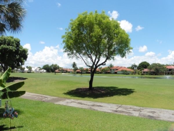 Palm Beach Home 986933