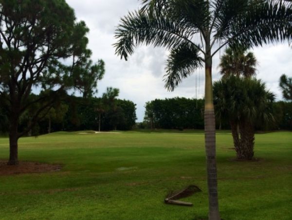 Palm Beach Home 986936