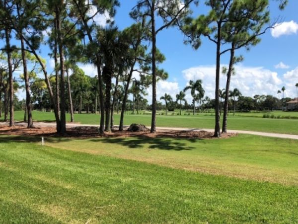 Palm Beach Home 986939