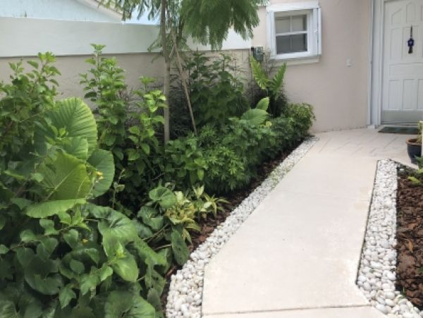 Palm Beach Home 986942