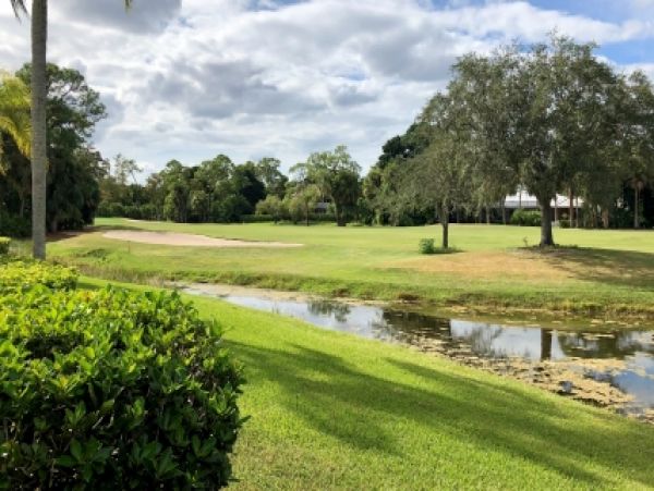 Palm Beach Home 986945
