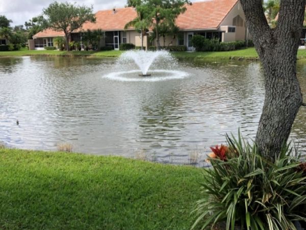 Palm Beach Home 986948