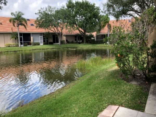 Palm Beach Home 986948