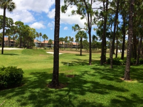 Palm Beach Home 986949