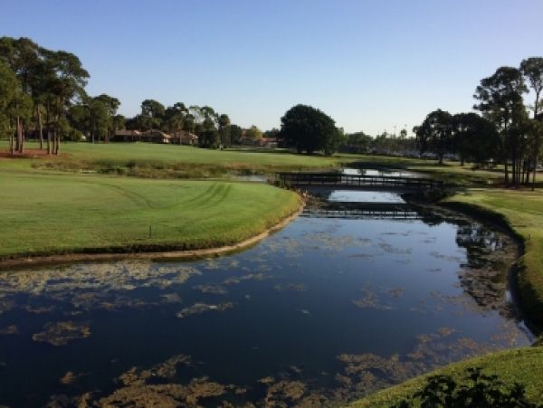 Palm Beach Home 986951