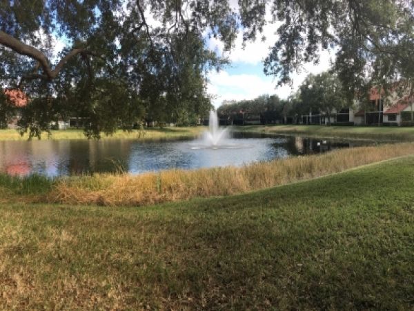 Palm Beach Home 986953