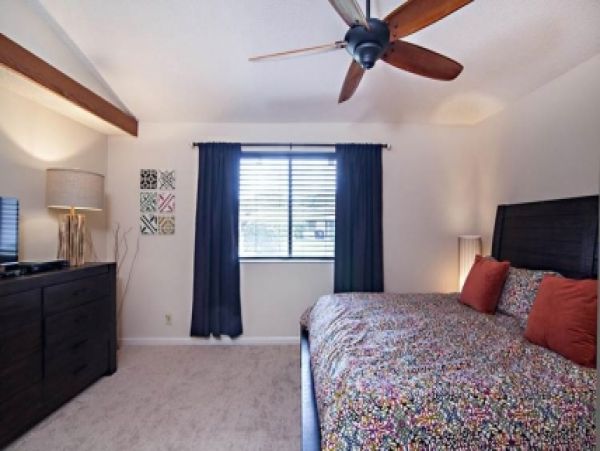 Palm Beach Home 986961