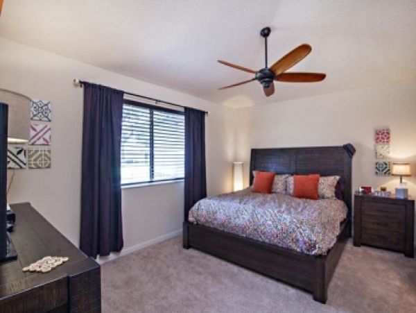 Palm Beach Home 986961