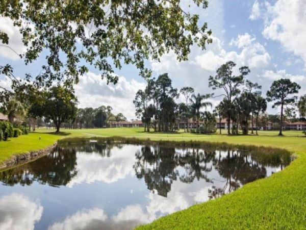 Palm Beach Home 986961