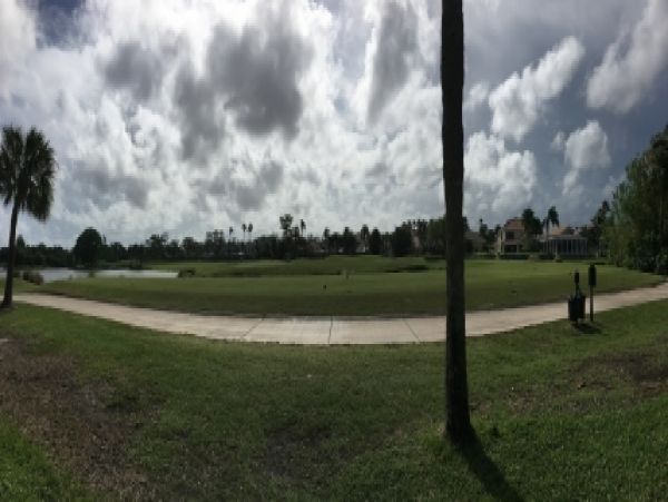 Palm Beach Home 986968