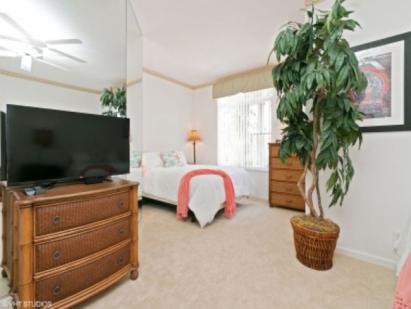 Palm Beach Home 986979