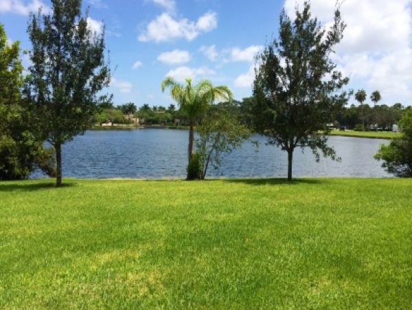 Palm Beach Home 986982