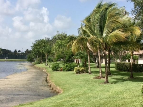 Palm Beach Home 986982