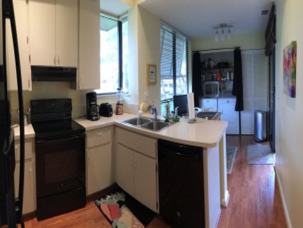 Palm Beach Home 986988
