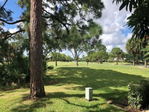 Palm Beach Home 986988