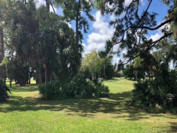 Palm Beach Home 986988