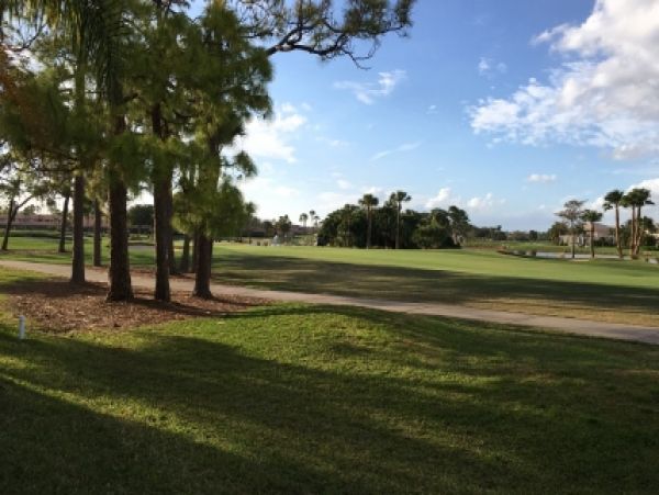 Palm Beach Home 986992
