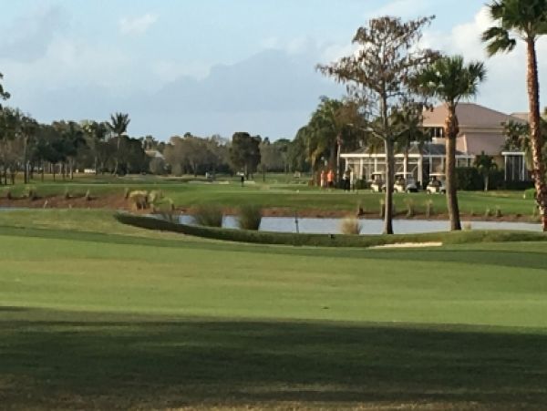 Palm Beach Home 986992