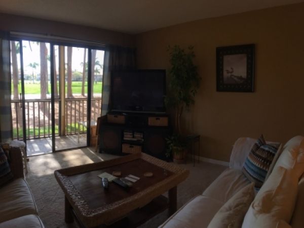 Palm Beach Home 986993
