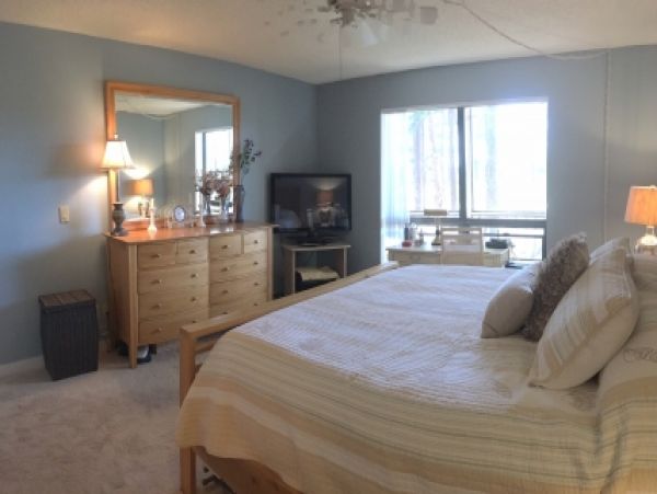 Palm Beach Home 986993