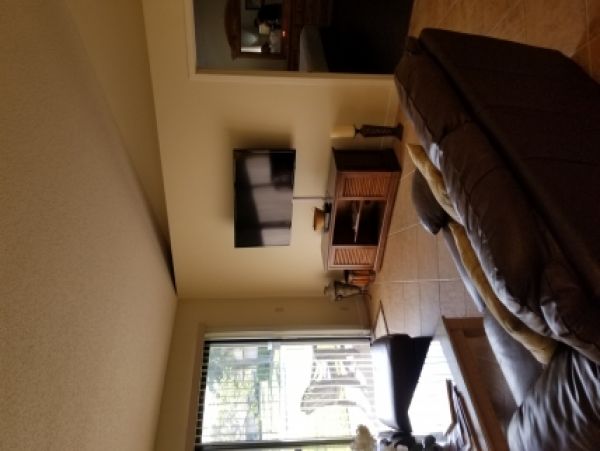 Palm Beach Home 986994