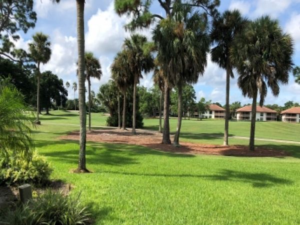 Palm Beach Home 987010