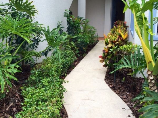 Palm Beach Home 987014
