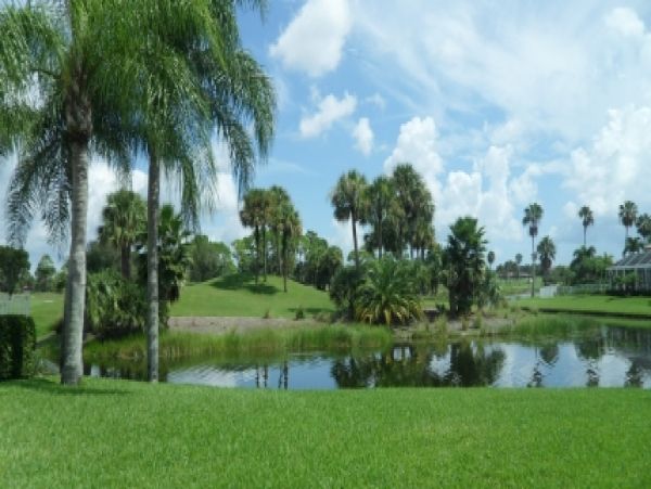 Palm Beach Home 987019