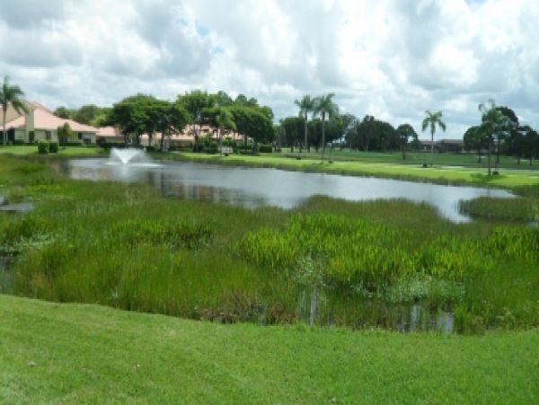 Palm Beach Home 987020