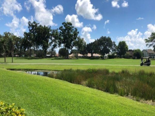Palm Beach Home 987022