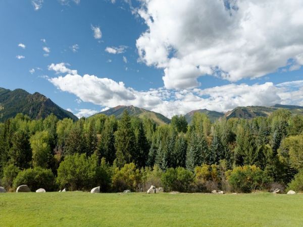 Aspen Home 987082