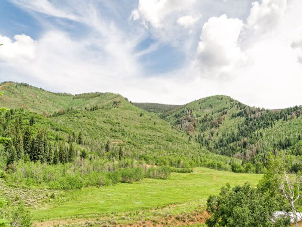 Aspen Home 987084