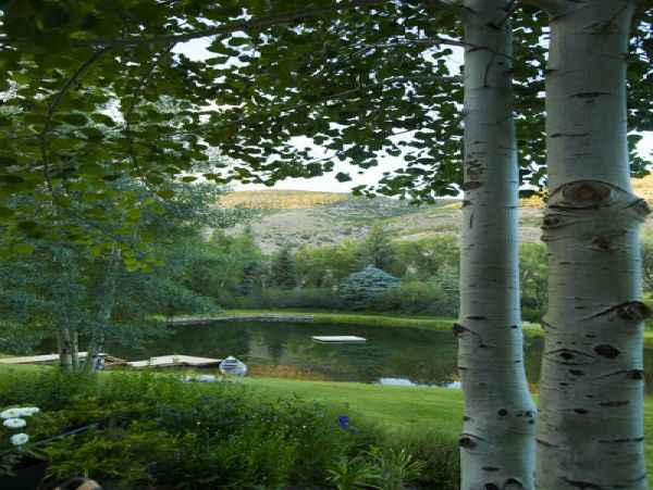 Aspen Home 987089
