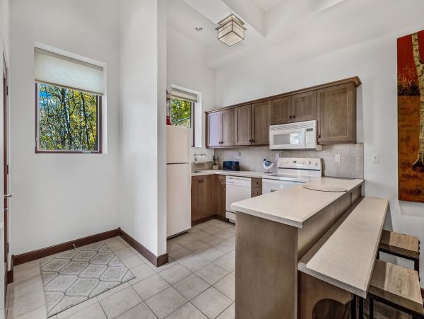 Snowmass Home 987123