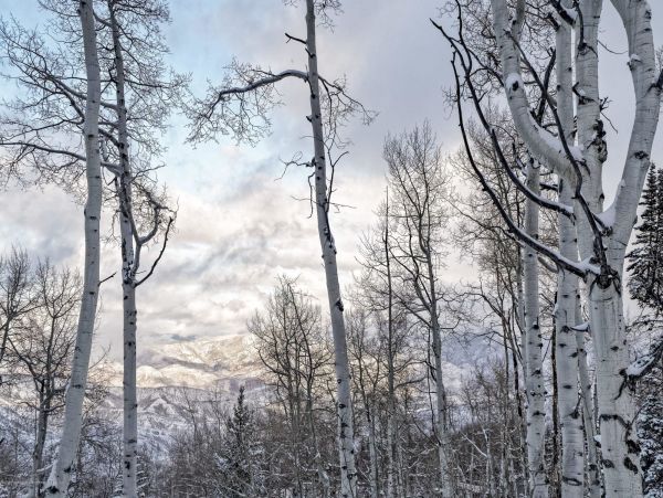 Snowmass Home 987131