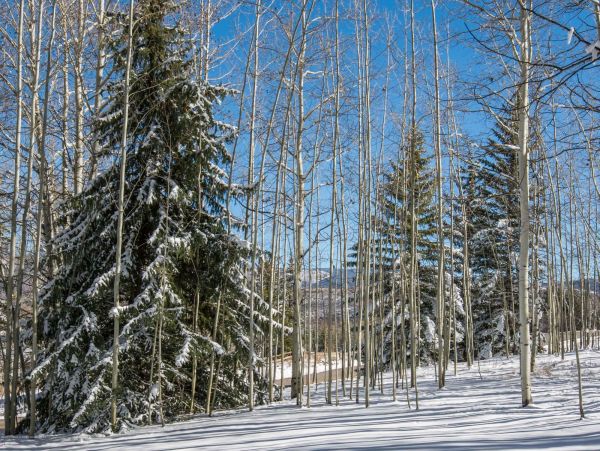 Snowmass Home 987132