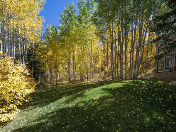 Snowmass Home 987132