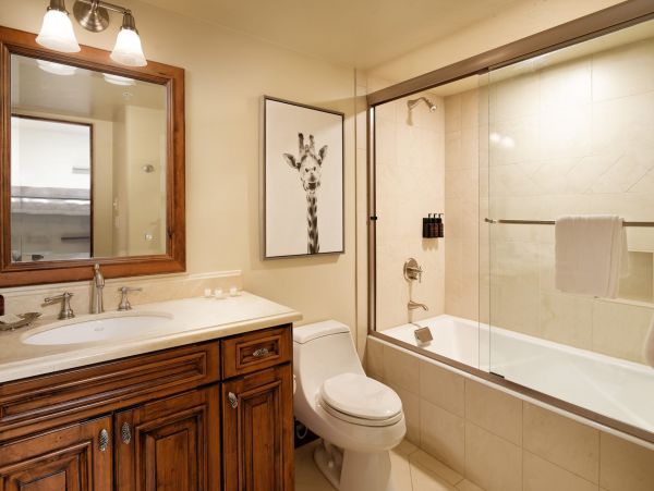 Snowmass Home 987140