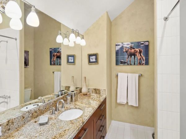 Snowmass Home 987143