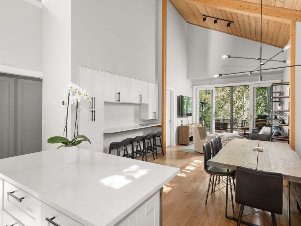 Snowmass Home 987151
