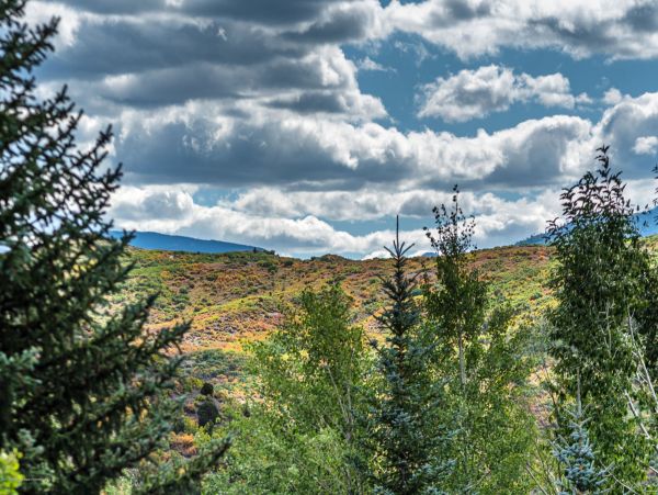 Snowmass Home 987152