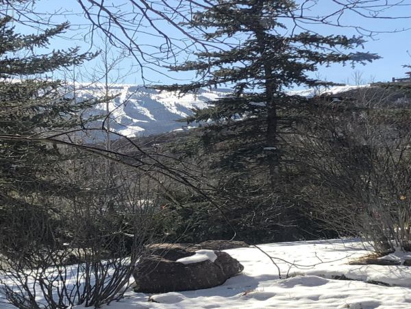 Snowmass Home 987152