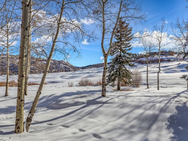 Snowmass Home 987163
