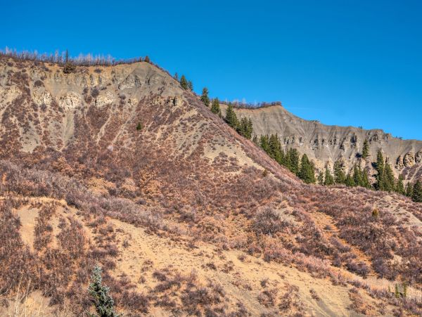 Snowmass Home 987169