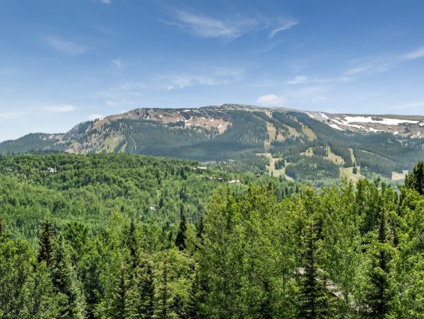 Snowmass Home 987174